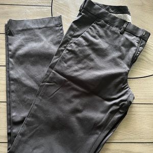 Express photographer style dress pants